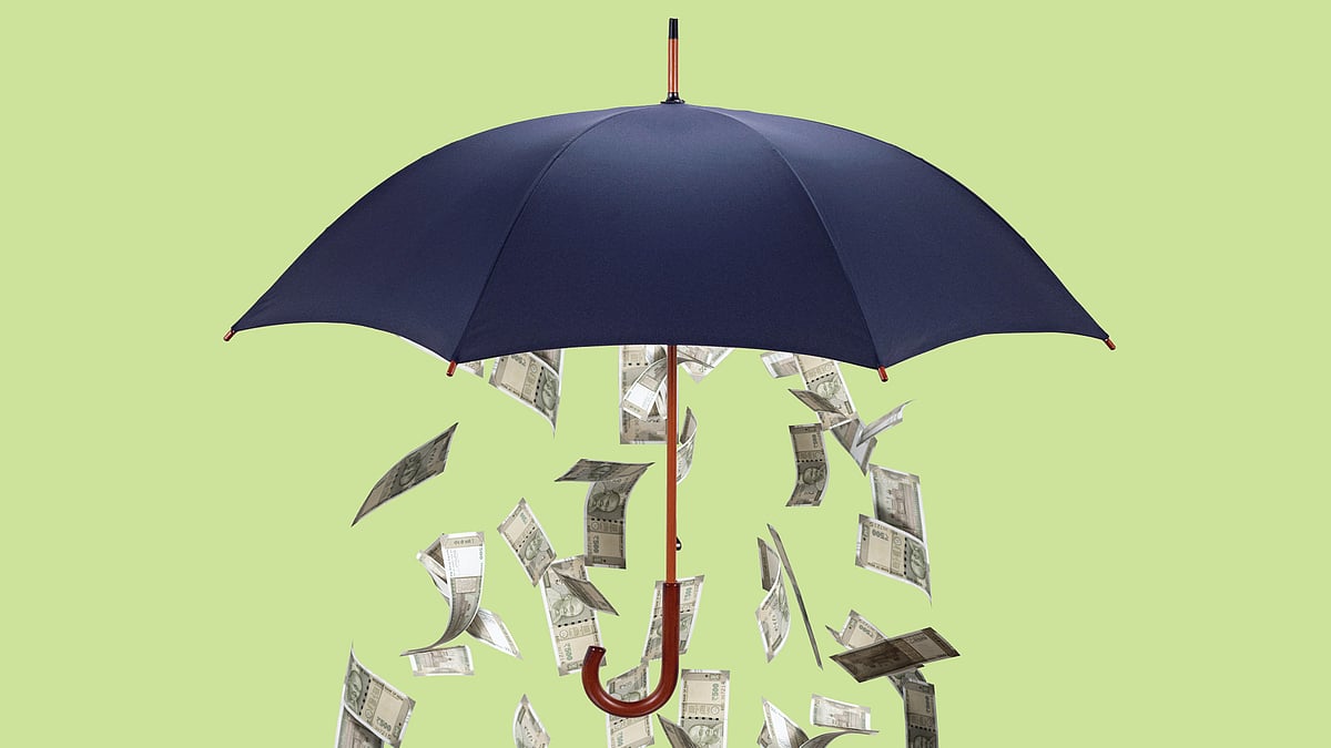 Best Performing Insurers