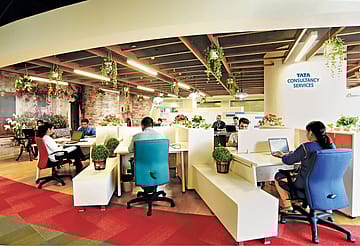 Nifty IT drops 3% despite strong market; TCS, Infosys, HCLTech drag