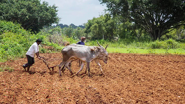 Fertiliser, labour cost biggest challenge for Indian farmer: Bayer Fertiliser, labour cost biggest challenge for Indian farmer: Bayer