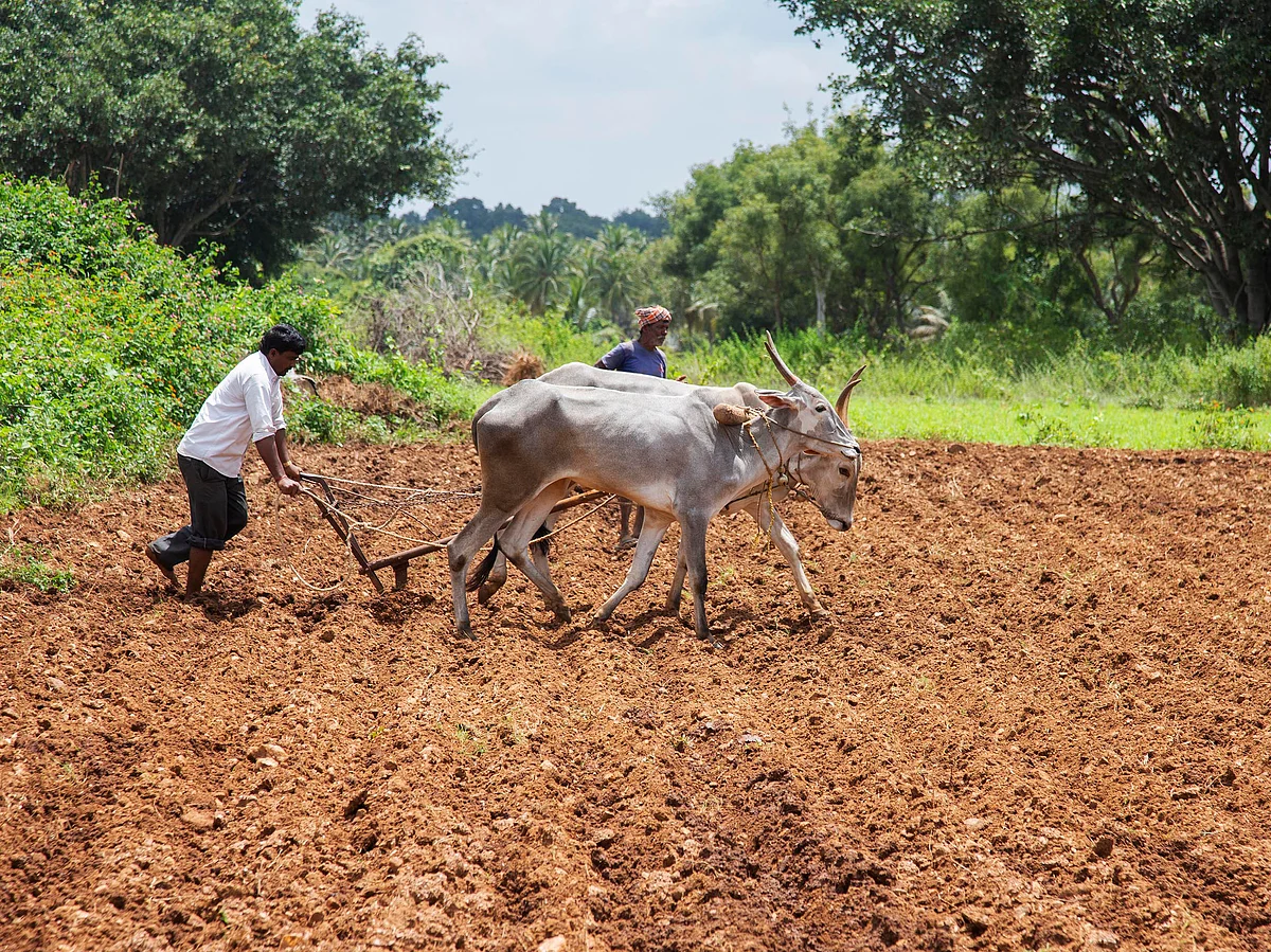 The policy weaves around enhancing farmers’ net income through an end-to-end Value Chain Concept.

