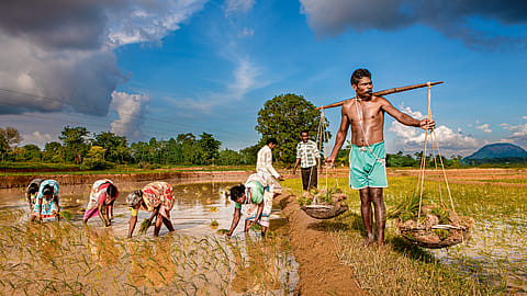Photograph by Narendra Bisht