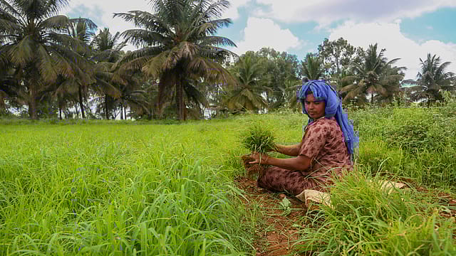 Crop diversification, digital marketplaces, liberal agri-export policy to boost farmer income Crop diversification, digital marketplaces, liberal agri-export policy to boost farmer income