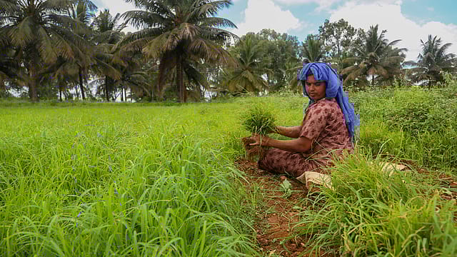 Union Budget tech-friendly, allocations for agriculture decline, say stakeholders Union Budget tech-friendly, allocations for agriculture decline, say stakeholders