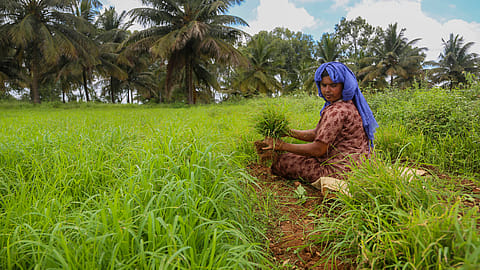 AIKS says that the government had in 2014 promised the farmers to implement the Swaminathan Commission recommendation.