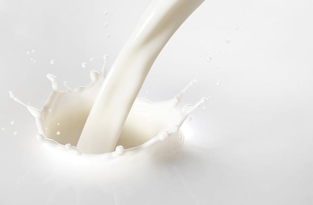 IIT Madras develops device to detect milk adulteration in 30 seconds