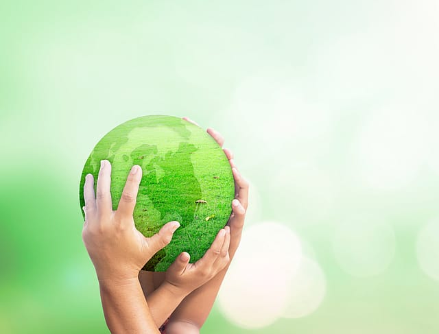 Purpose to profits – monetising sustainable business ethics with data deep dive