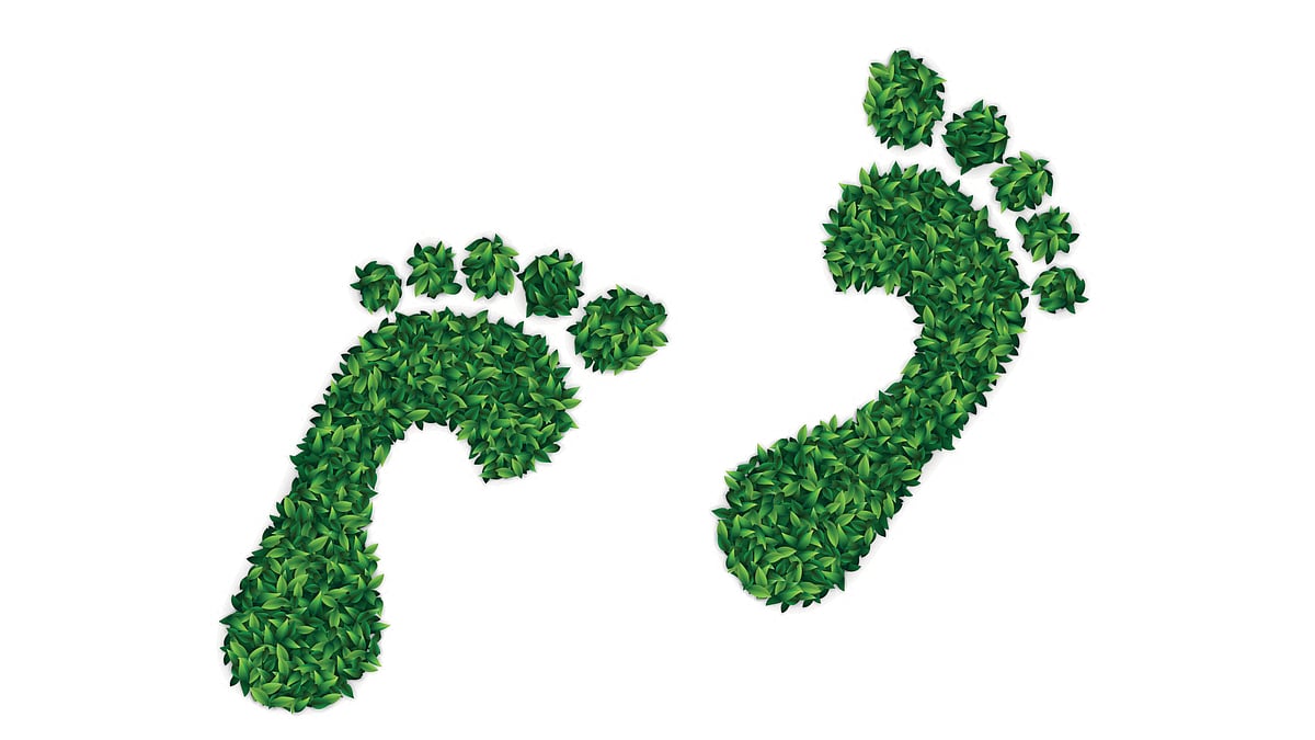 How path to ESG makes companies attractive to invest