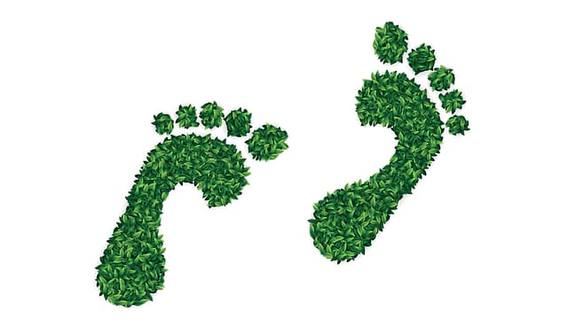 How path to ESG makes companies attractive to invest How path to ESG makes companies attractive to invest