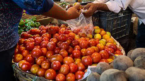 The Working Group should hold regular consultations with private sector experts, trade bodies such as the CII, FICCI and economists to make the WPI methodology more robust & industry relevant, the committee said.