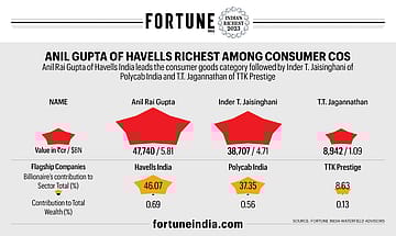 Anil Gupta of Havells richest among consumer cos
