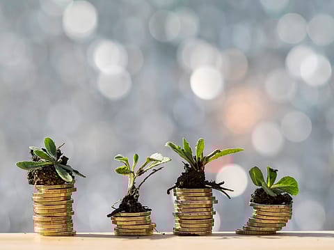 Q3 saw the creation of two unicorns, a 50% decline from the last year.