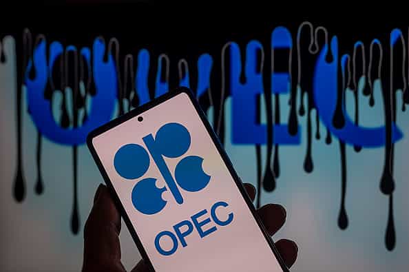 India to be largest contributor of increase in oil demand by 2045: OPEC