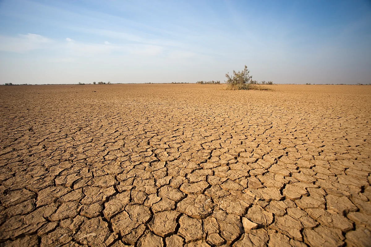 3,05,071 square kilometre of India's land remained in a degraded form by the end of 2019 