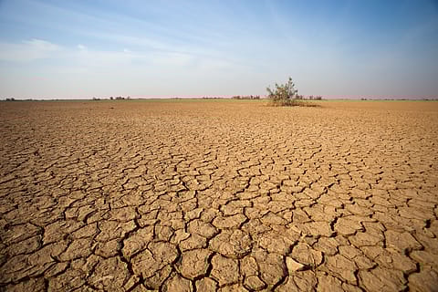 3,05,071 square kilometre of India's land remained in a degraded form by the end of 2019 