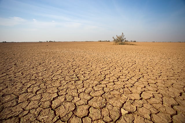 9.5% of India's land degraded, 36.8% drought prone: UNCCD