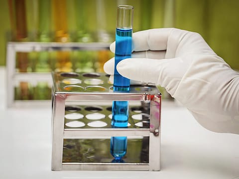 The second biggest component, with a 35.65% share in Indian bio-economy is bio-pharmaceuticals