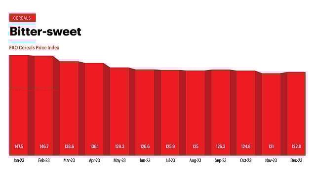 Bitter-sweet Bitter-sweet