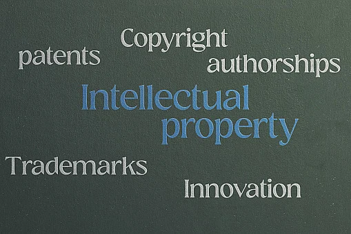 The IP annex of the agreement permits the member countries to adopt enforcement measures at a level that is beyond what is provided in the TRIPS Agreement.
