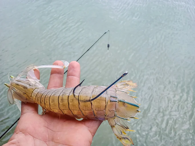Frozen shrimp remained the major export item in quantity and value.