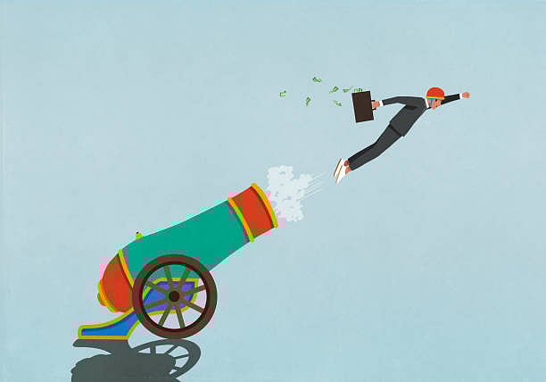 In the realm of IT services, startup employment grew steadily to 23%