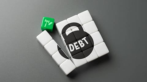 The external debt includes loans, currency and deposits, trade credit and advances, and debt securities.