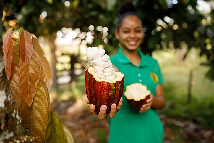 Asia’s presence on the top 20 cacao-producing nations list is represented only by Indonesia and India. 