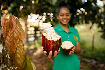 Chocolate: Africa’s tragedy, India’s opportunity?