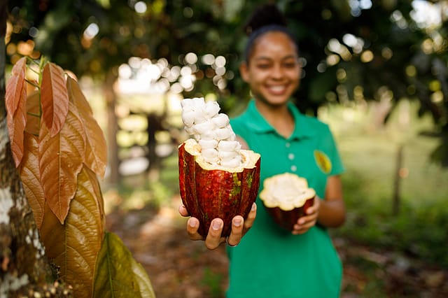 Chocolate: Africa’s tragedy, India’s opportunity?