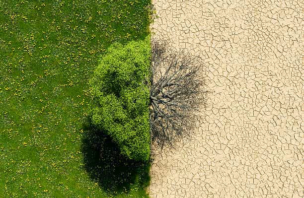 COP29 and India’s battle against climate change at home