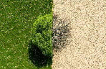 Dealing with the impending climate crisis