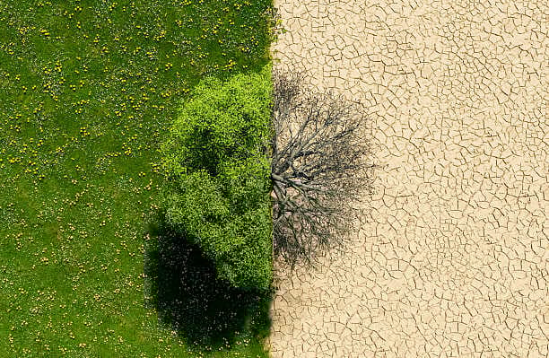Dealing with the impending climate crisis
