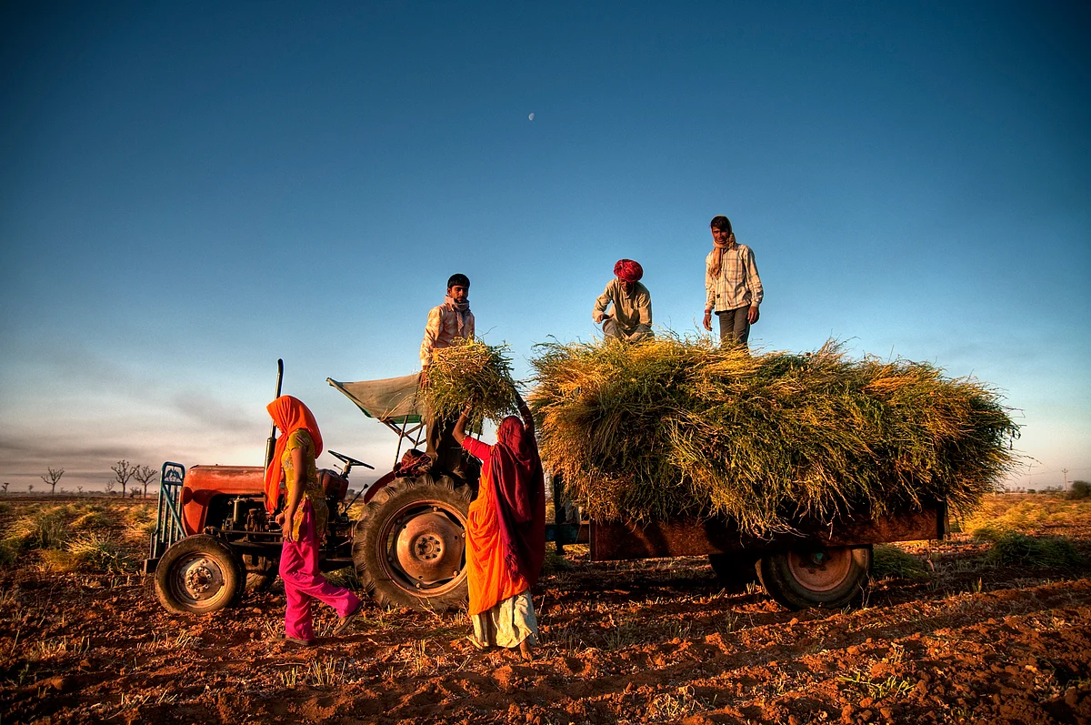 Farmer groups allege that the proposed policy talks about the same changes the government wanted to bring about through the now-repealed farm laws.