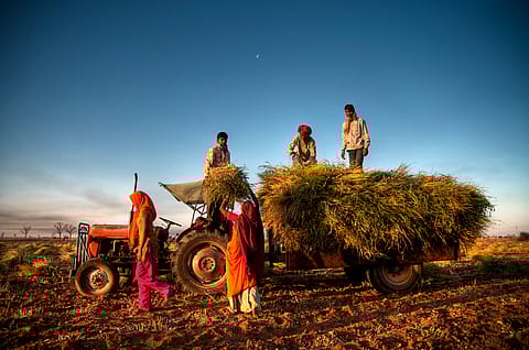 Farmer groups allege that the proposed policy talks about the same changes the government wanted to bring about through the now-repealed farm laws.