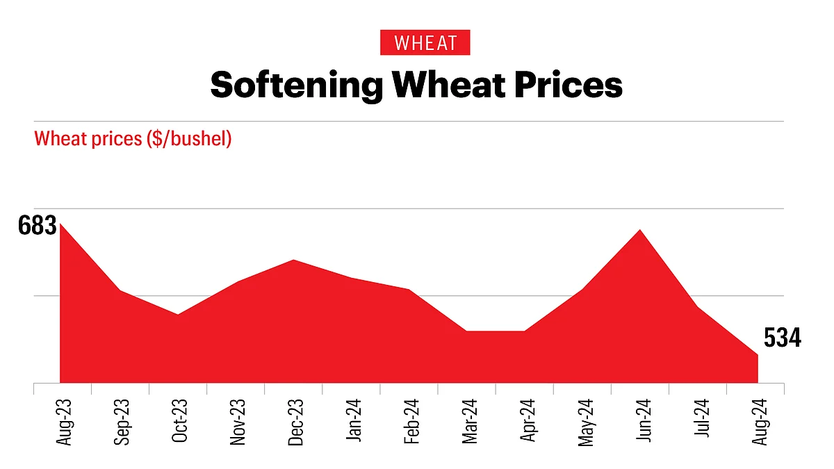 This downward slide is driven by a burgeoning supply and a surge in exports.