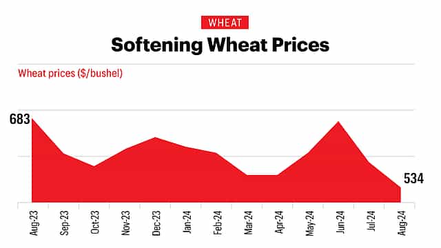 Softening Wheat Prices
