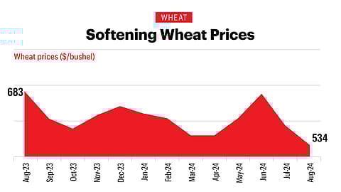 This downward slide is driven by a burgeoning supply and a surge in exports.
