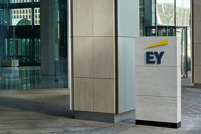 Mother slams EY after 26-yr-old CA dies from work stress