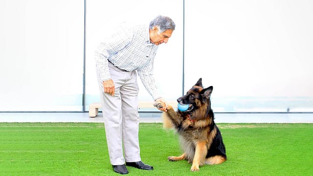 Ratan Tata & his 'personal' side: Love for dogs, cars, connect with youngsters