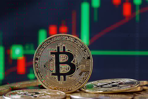 BTC and ETH secured the 2nd and 3rd spots in investor preferences with 7% and 6% in 2024.