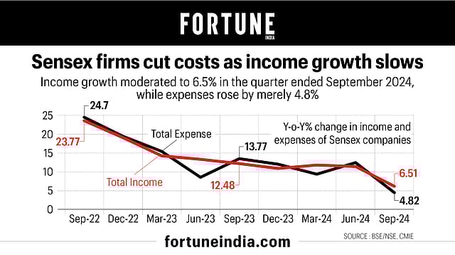 Sensex firms cut costs as income growth slows
