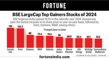 BSE LargeCap Top Gainers of 2024 