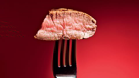 According to data from start-up intelligence firm Tracxn, the companies operating in the segment raised $440 million at the peak in FY22.