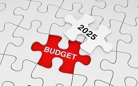 While the proposal to raise the threshold of nil income tax to ₹12 lakh for individuals has received attention, there are other positive announcements in the budget for the economy’s growth.