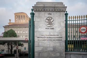 The World Trade Organisation on life support: Can it survive the global trade turmoil?