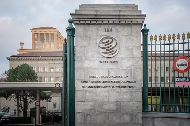 The World Trade Organisation on life support: Can it survive the global trade turmoil?
