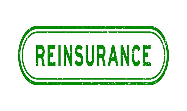 Foreign reinsurers’ market share in India to cross 50% in 2025: GlobalData