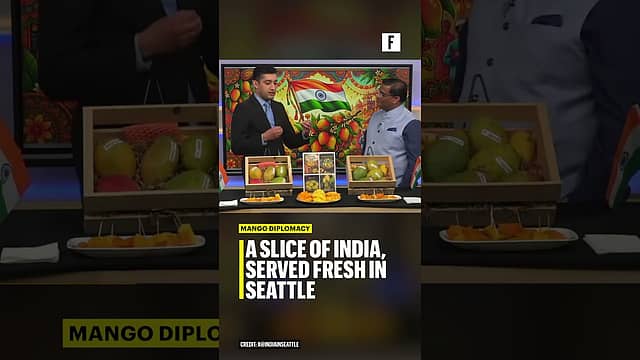 Mango Diplomacy | India’s sweetest export story going global