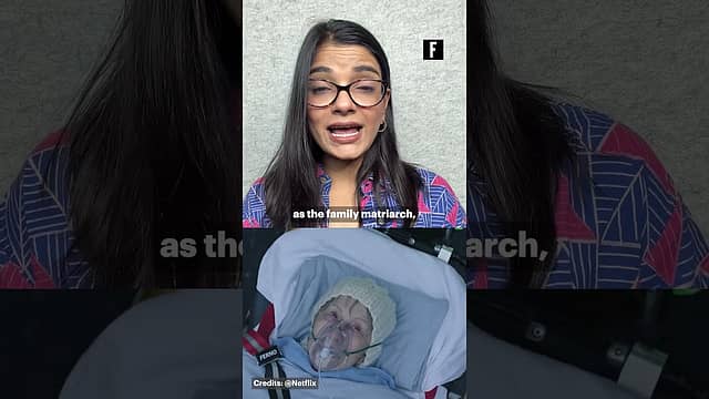 Weekend Binge Guide with Debanjana: A packed Christmas weekend watchlist across streaming & theatres