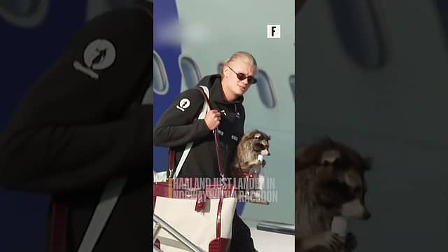 Haaland just landed in Norway with a raccoon