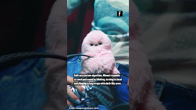 Meet Mirumi, the bag charm becoming a tiny companion